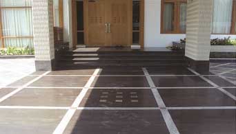 Panthu 4